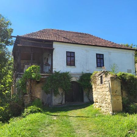 Appartement Country House Pivnica Milic Rogljevo Extérieur photo