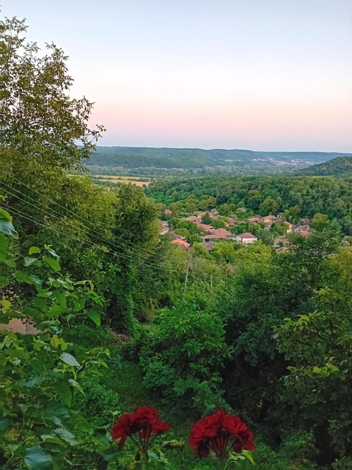 Appartement Country House Pivnica Milic Rogljevo Extérieur photo